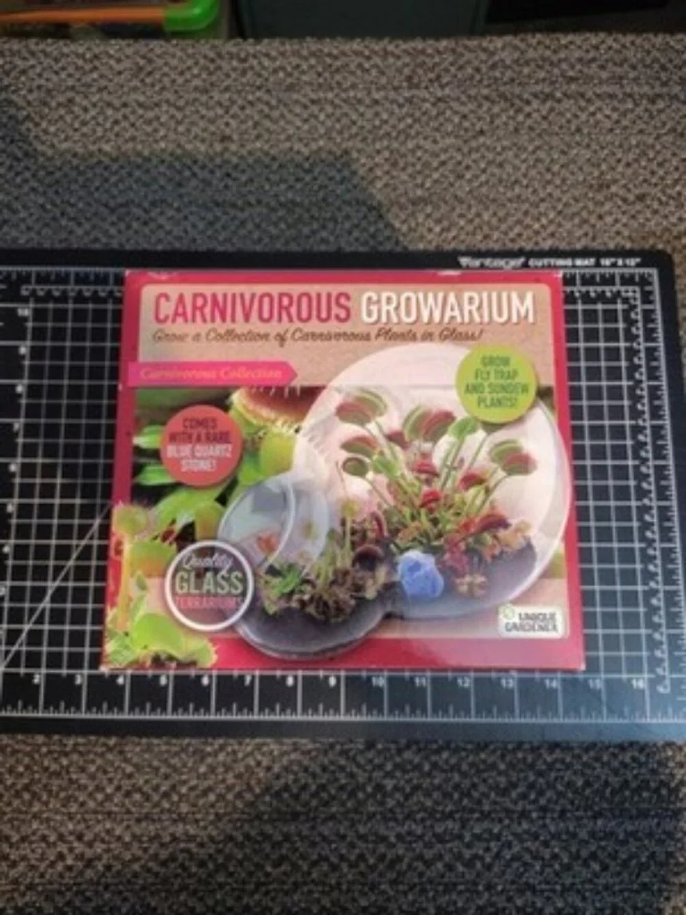 New - Unique Gardener Double Sphere Glass Terrarium - Carnivorous Growarium